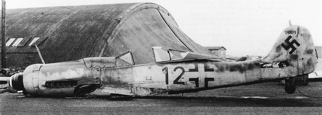 Длиноносая Дора. FW-190D9.