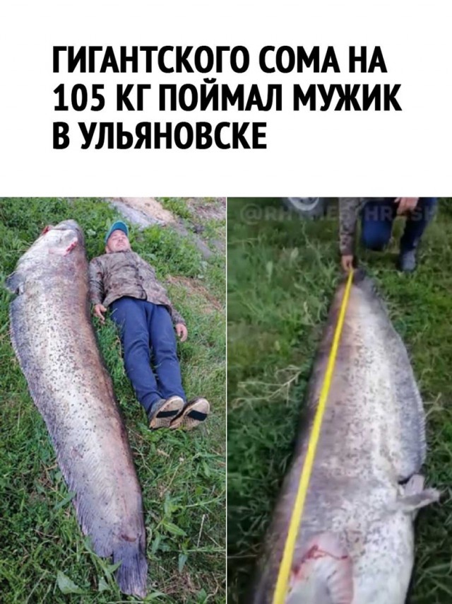 Так себе картинки 13.07.22