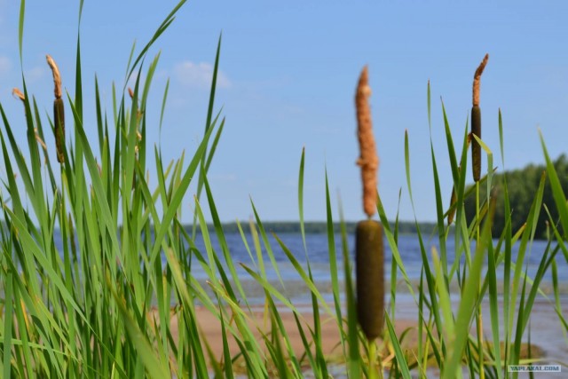 Отдых по-русски.