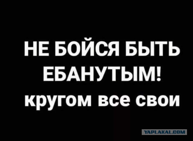 Весёлый полтишок 08.09.22