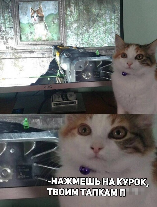 Картинки и мемы для настроения - 17