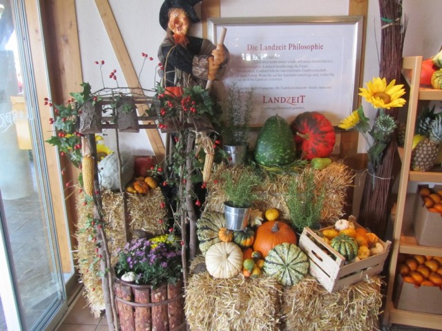 Мечты сбываются