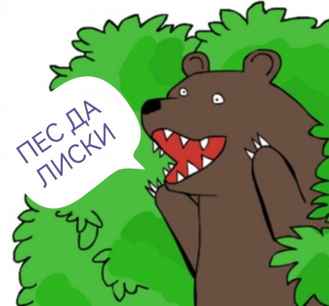 "Мисс Аргентина" и "мисс Пуэрто-Рико" тайно поженились после двух лет отношений.