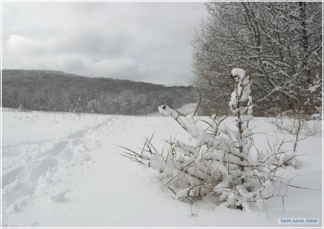 Крым. Терновка. Зимние дороги.