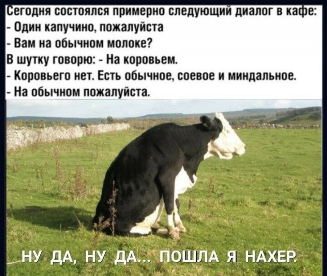 Юмор в картинках и без