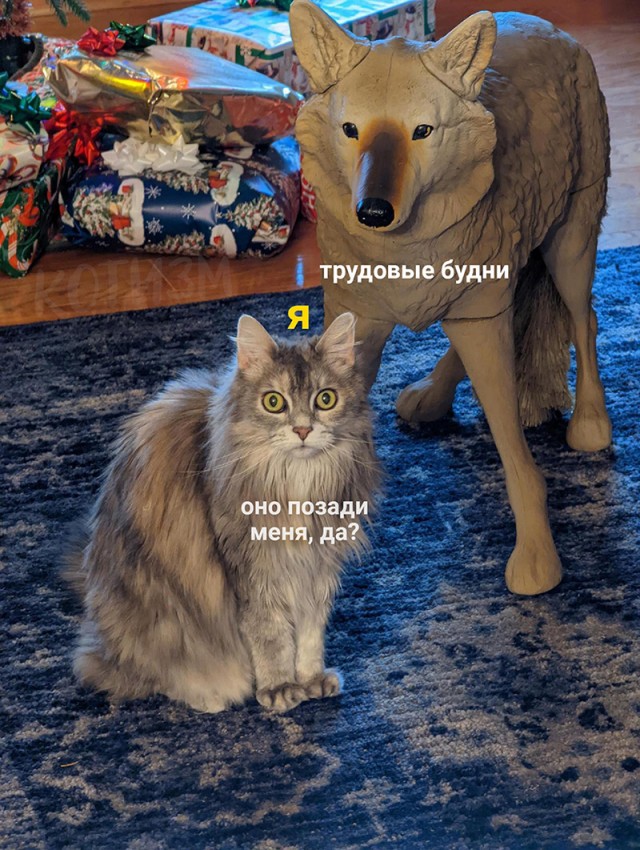 Понедельник, работа, наконец-то!