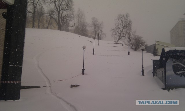 23 марта. Киев. Весна.