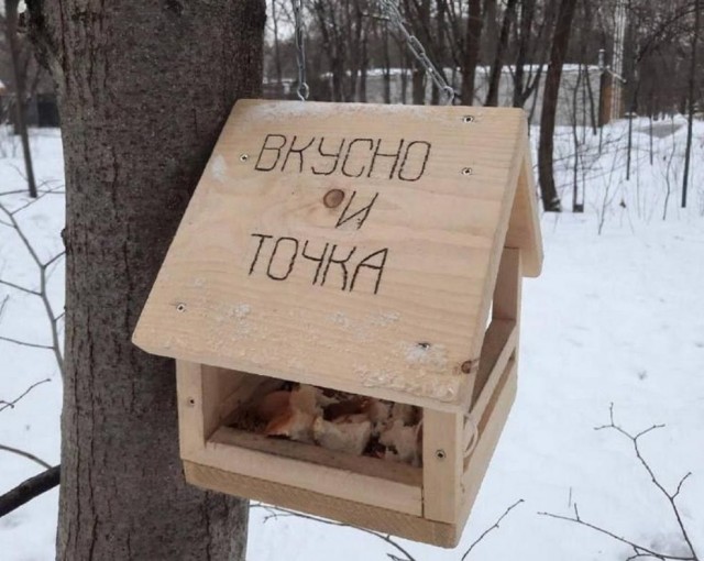 Не смешные глупые картинки