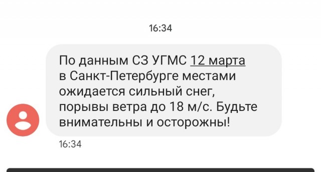 Чёрно-белые коти дождались Весну-красну