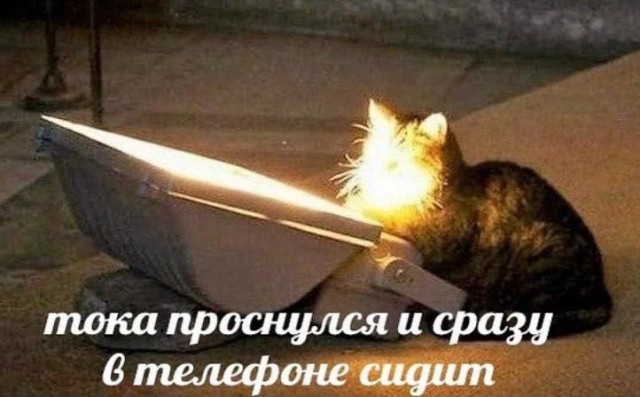 Всего понемногу. От 25.03.