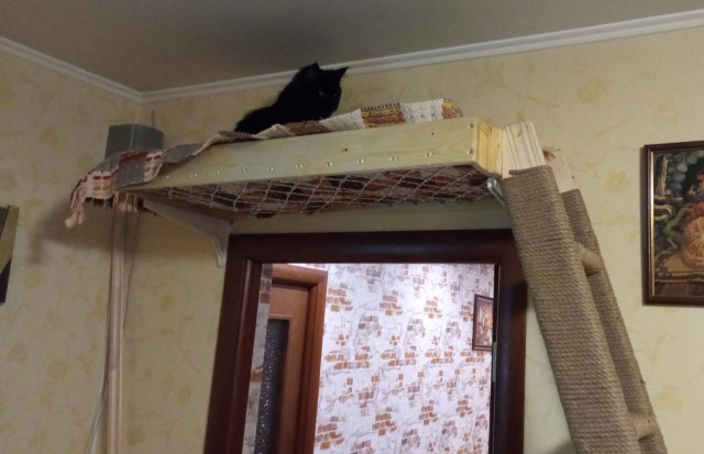 Королева подиума