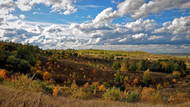 Перед грозой в поле