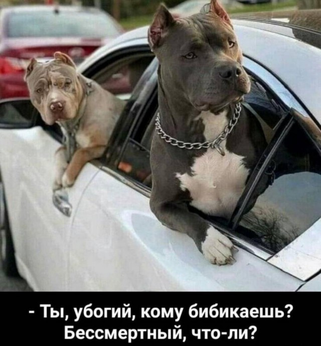Прикольные и просто красивые картинки 23.05.2023