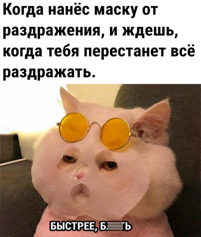 Картинки и мемы, всяко разно - 185