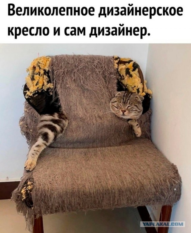 Прикольные и просто красивые картинки 27.06.2023