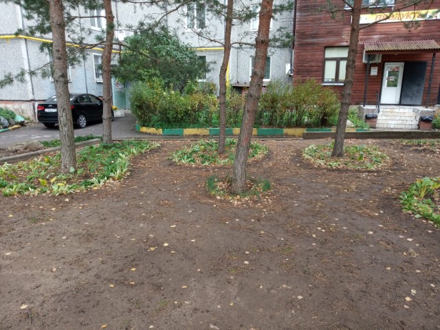 Клумба во дворе