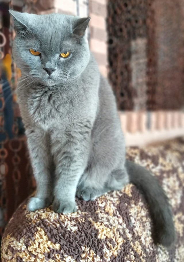 Вот и я стал рабом.