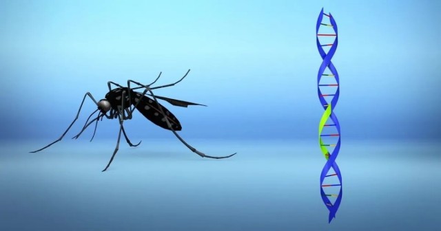 Ковид, Цифровая валюта и прочие радости