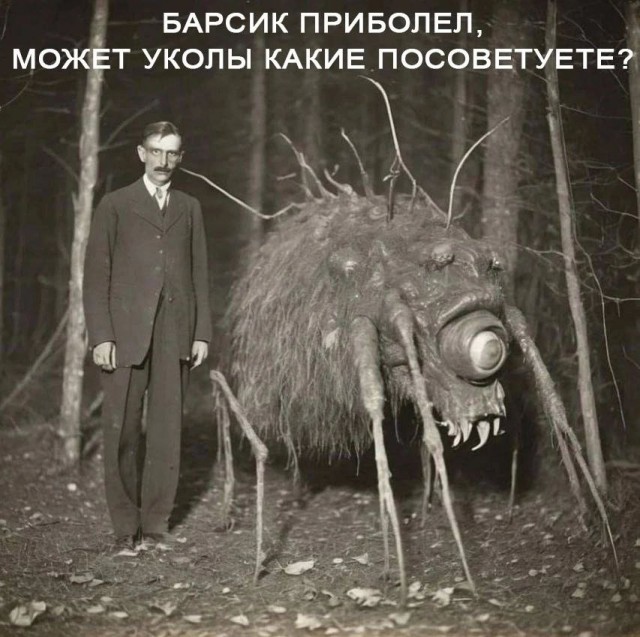 Весёлый полтишок 20.05.24