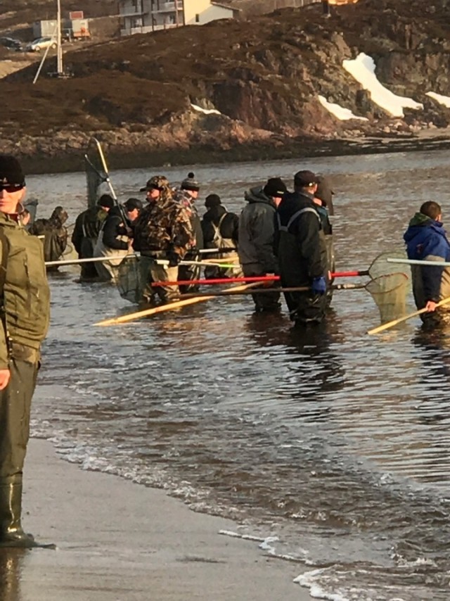 Все куда-то пошли