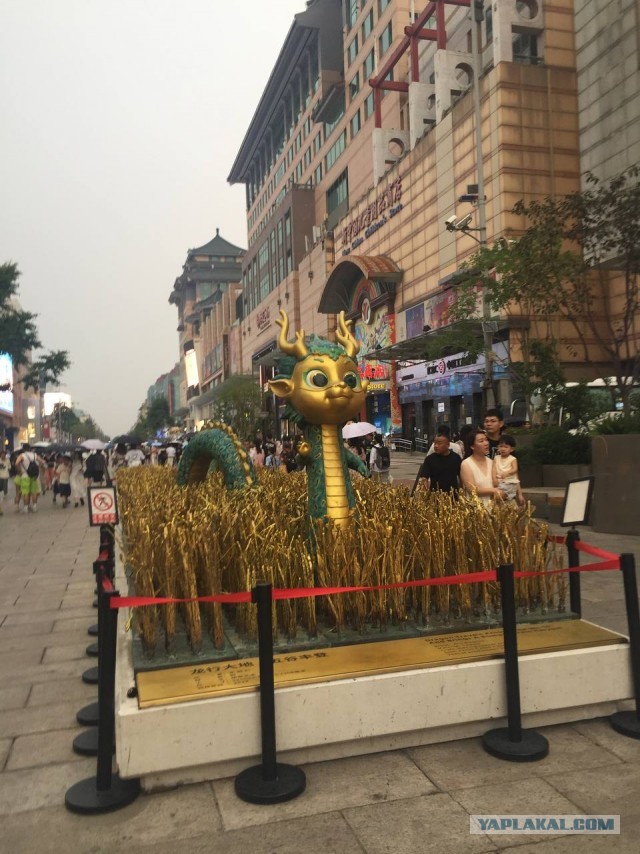 Китай. Пекин-Бэйдайхэ 20024 China.  Beijing-Beidaihe 20024 中国。北京北戴河 20024