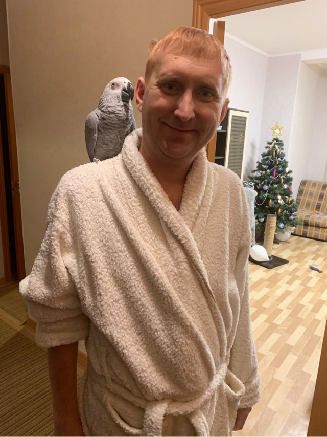 Принимайте в клуб! Котовторник же