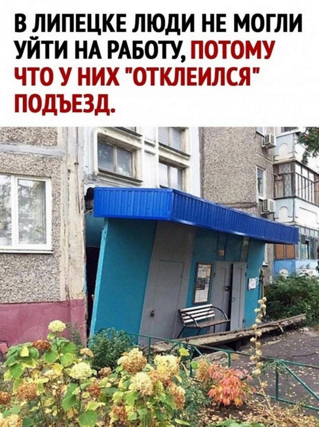 Меня твой шеф прислал