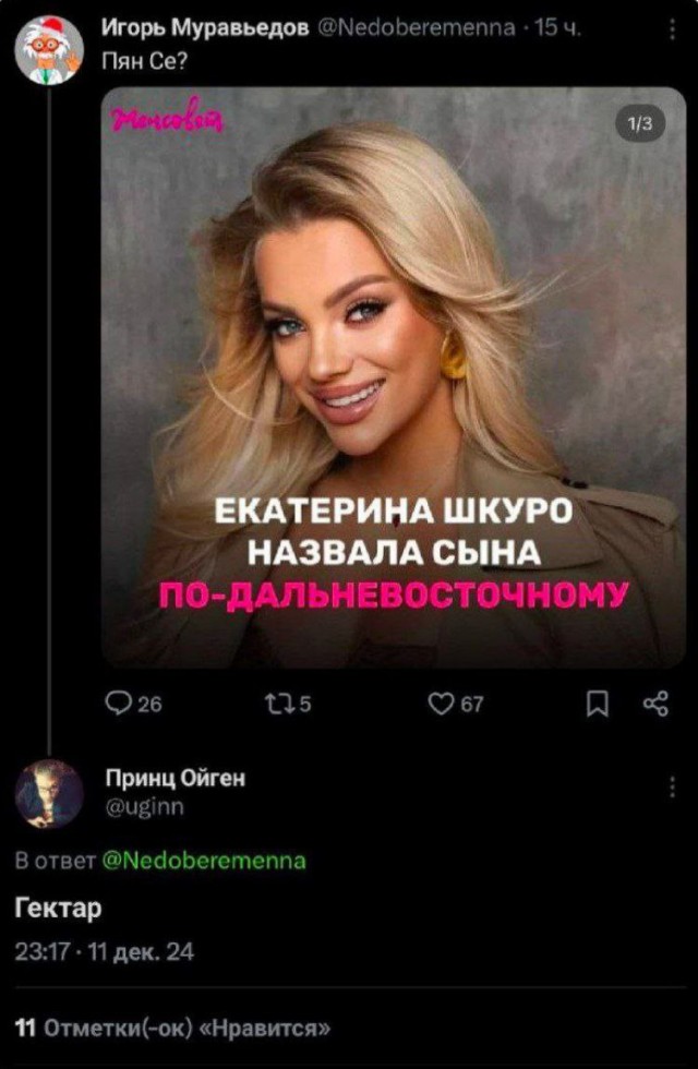 Народная меДИЧина 2024