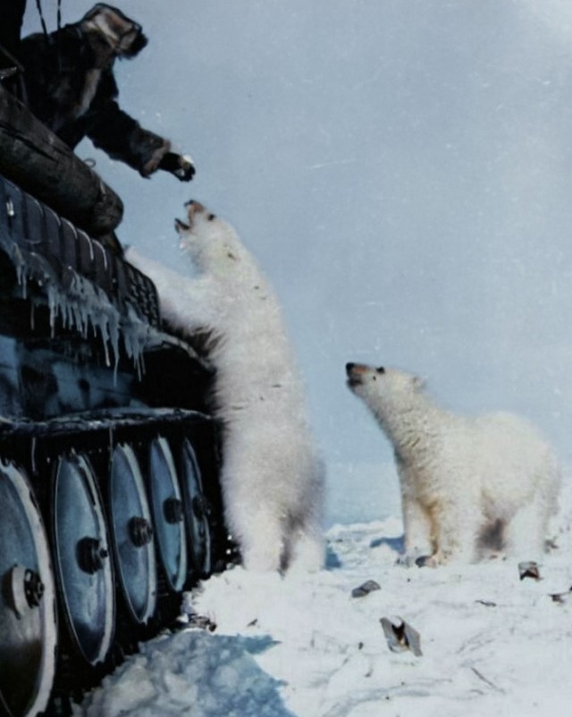 Альтернативная история в фотографиях - 3