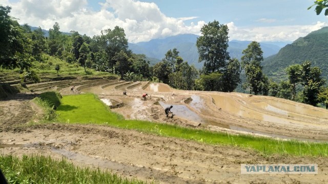 Бутан, таинственный Бутан