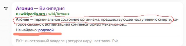 «Мы вымираем как страна»: демограф оценил предложение повысить декретные пособия студенткам