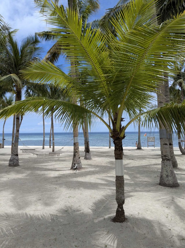 Бутан, таинственный Бутан