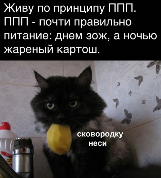 Завалялось тут случайно немного забавных картинок