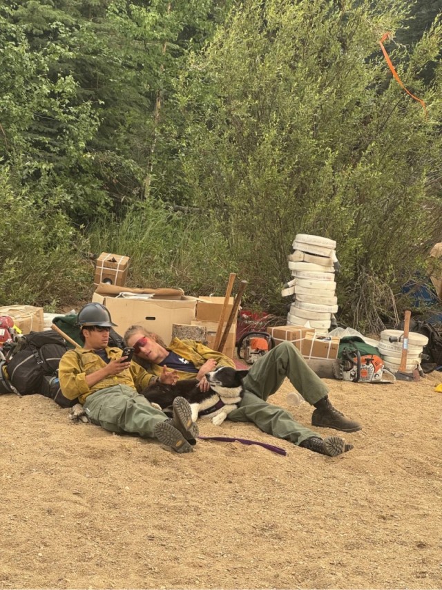 Карельские медвежьи собаки на службе у пожарников на Аляске