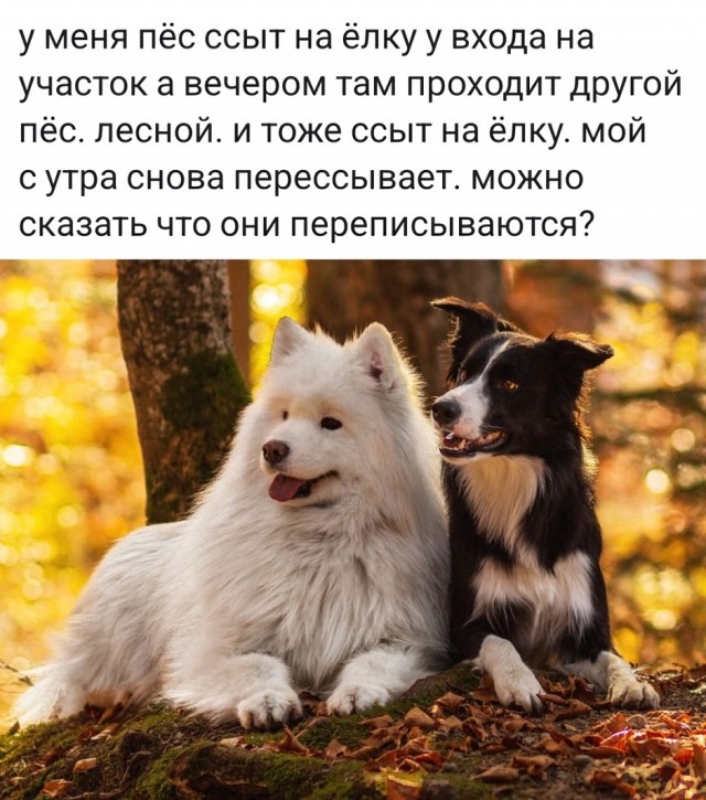 Так себе картинки 26.09.25