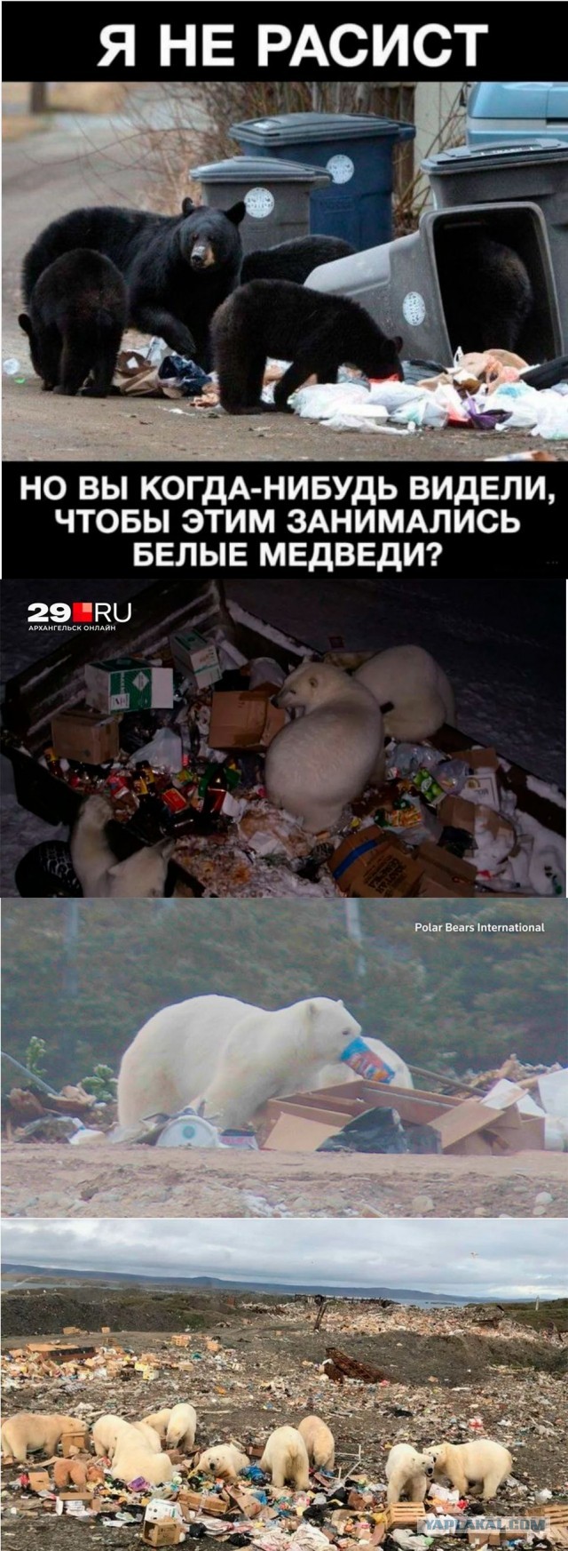 Веселое настроение в картинках (02.10.2025)