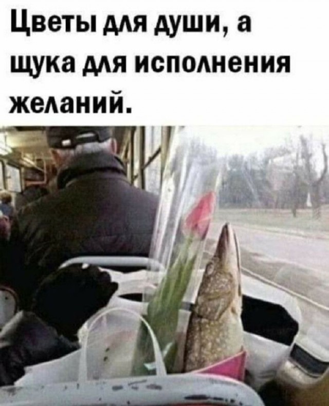 Картинки для деградации 56 (разной степени свежести)