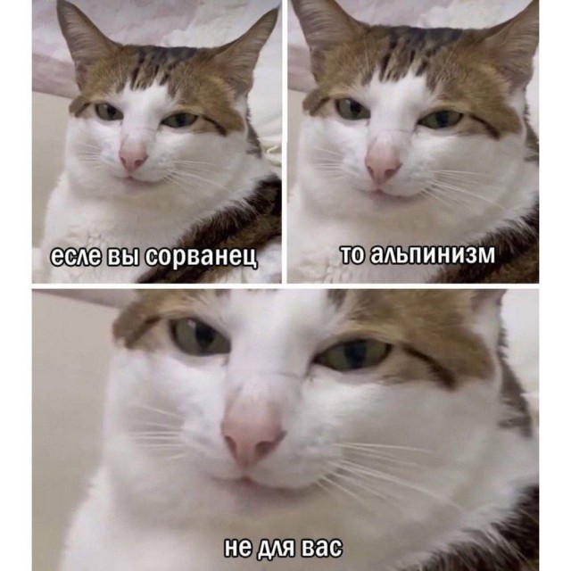 Прикольные и просто красивые картинки