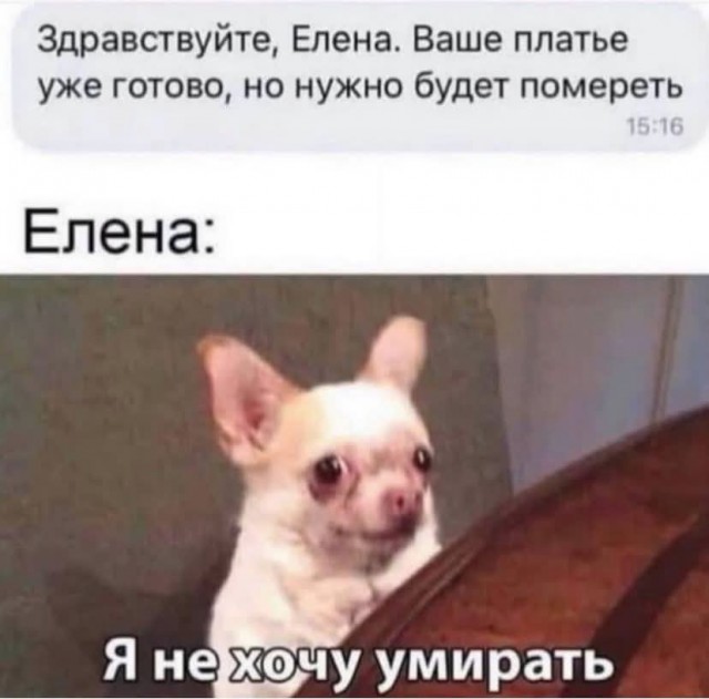 Маленькая пятница 22.10