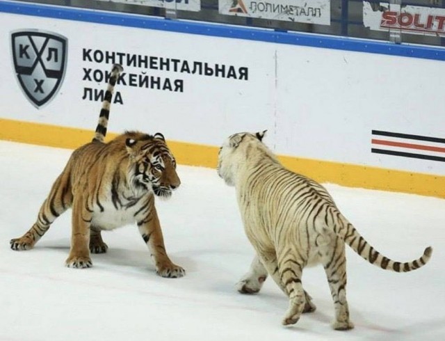 Маленькая пятница 21.01