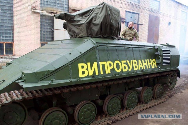 Хищный красавец из Брянска