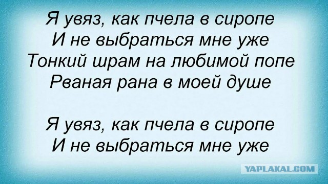 Арматура пробила днище автомобиля и ягодицы женщине на пассажирском сиденье в Петропавловске-Камчатском
