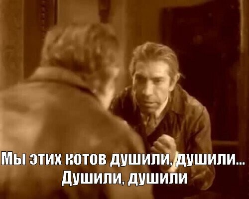 Что, скоро и котиков в расход?