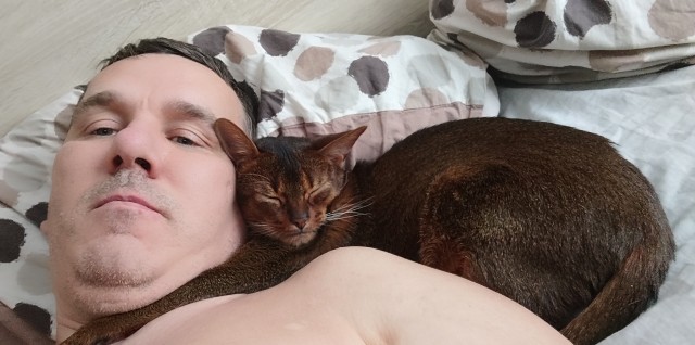 Котовторник наступил;)