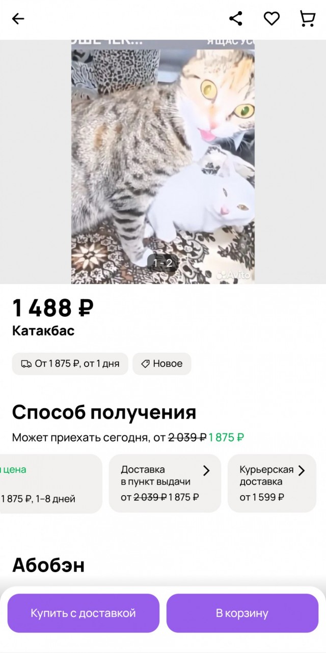 На Авито есть Котакбас