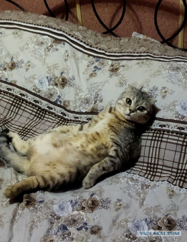 Вот и я стал рабом