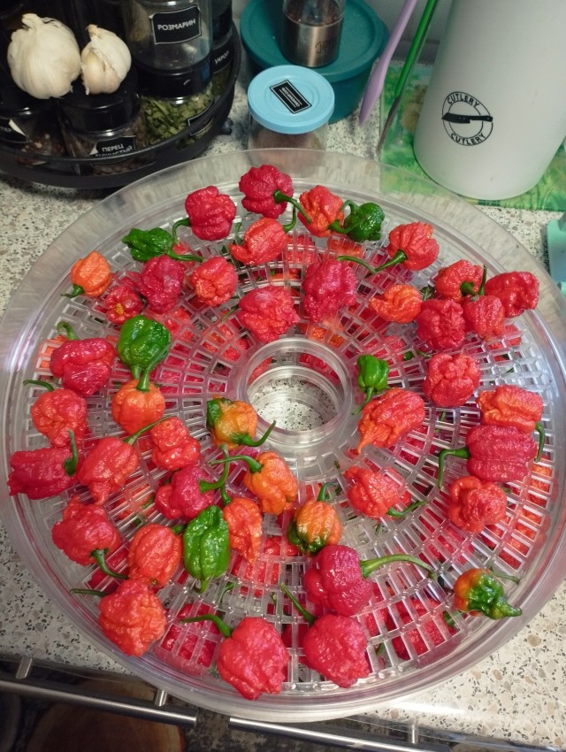 Каролинский жнец