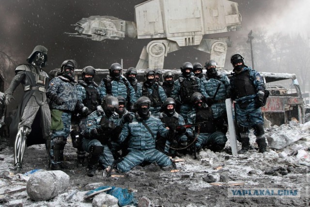 Фото дня