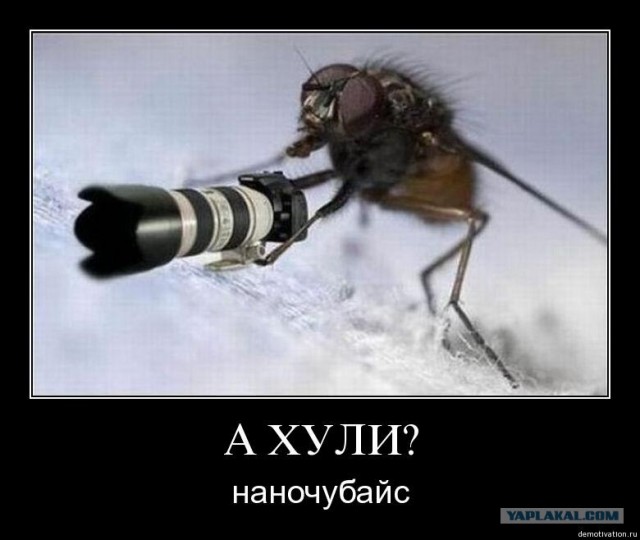 Личный сборник демотиваторов #2
