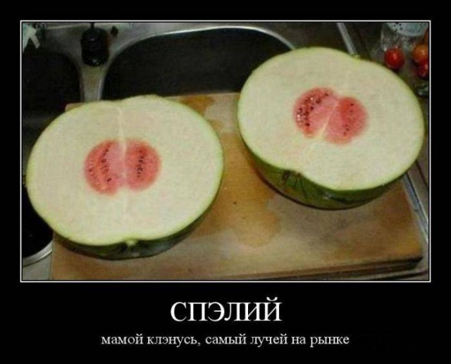 Демотиваторы.